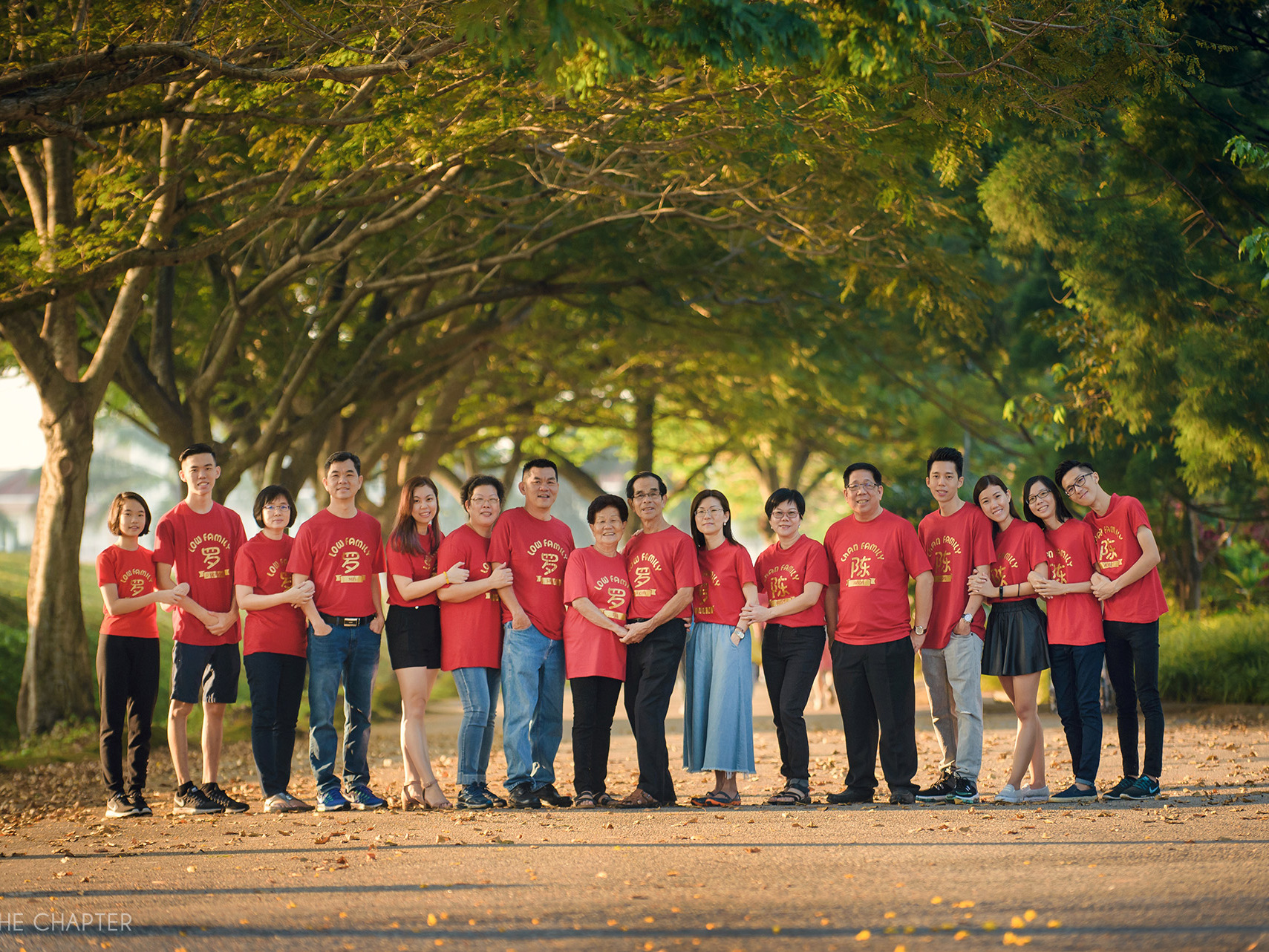 chinese new year family photo ipoh, cny 2020 family portrait ipoh, cny family portrait ipoh malaysia, cny family photo ipoh, the chapter ipoh
